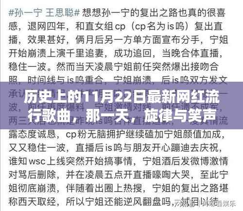 历史上的11月22日最新网红流行歌曲,那一天,旋律与笑声交织的温馨故事