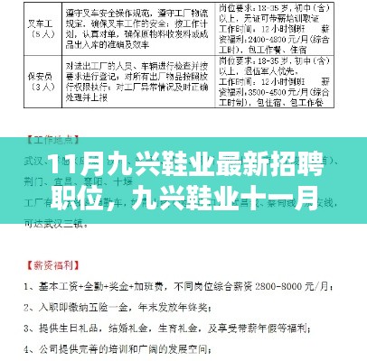 九兴鞋业十一月最新招聘职位全面介绍与评测揭秘
