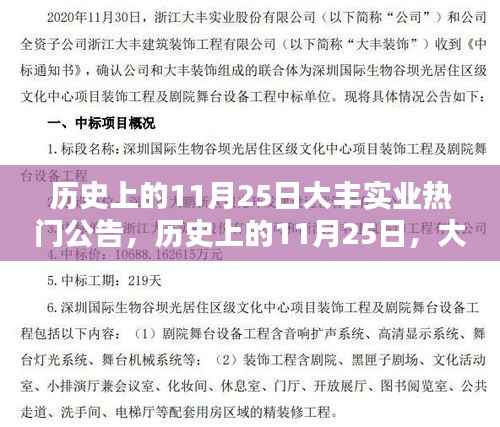 历史上的11月25日,大丰实业公告引领时代风潮,热门公告揭秘