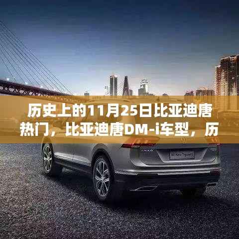 历史上的热门之选,比亚迪唐DM-i车型的综合评测与回顾——聚焦11月25日焦点时刻