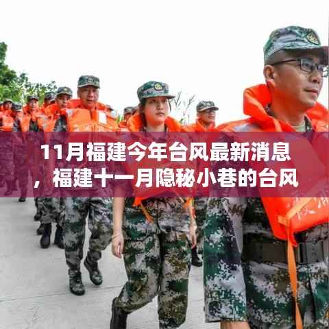 福建十一月隐秘小巷的台风时光,最新台风消息与独特风味探索