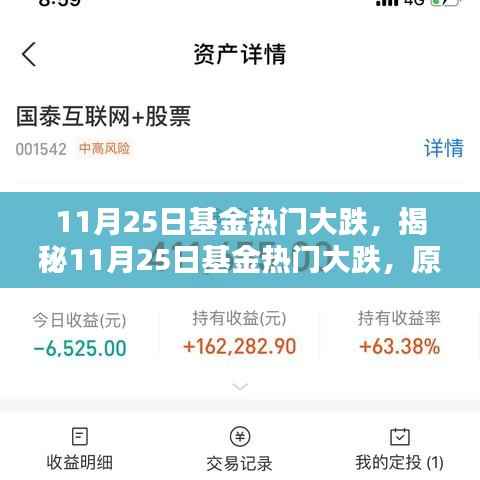 揭秘11月25日基金市场大跌背后的原因、影响及应对策略