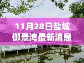 盐城御景湾最新动态解析,聚焦11月28日最新消息揭秘