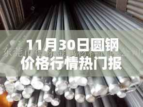 11月30日圆钢价格行情深度解析,热门报价、特性、用户体验与竞品对比