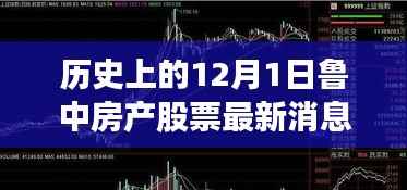 鲁中房产股票传奇,温馨日常与历史的交汇点(最新消息)