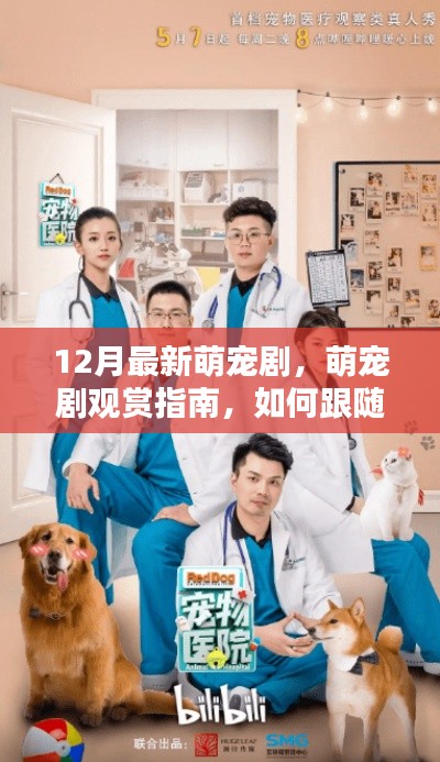 萌宠剧达人养成记,从入门到进阶的观赏指南(最新萌宠剧推荐)