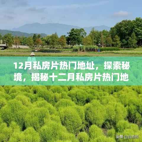 揭秘十二月私房片热门地址,探索秘境的奇妙旅程,寻找内心平静之旅