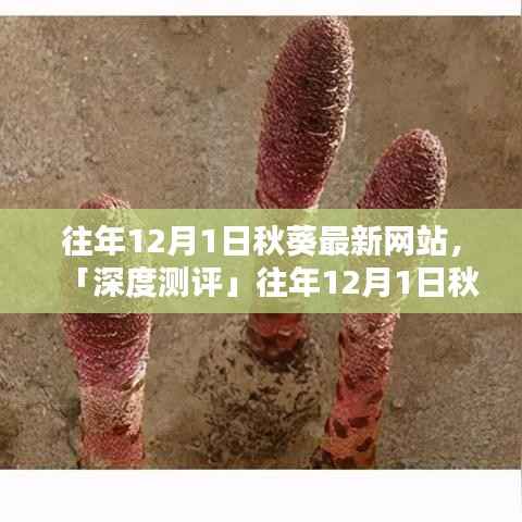 往年12月1日秋葵最新网站,「深度测评」往年12月1日秋葵最新网站,特性解析、用户体验、竞品对比及目标用户群体分析