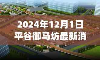 平谷御马坊最新动态,跃动未来之门,学习变化带来的自信与成就感(2024年12月1日)