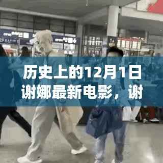 谢娜新电影,探寻自然美景与内心平静的旅程——12月1日上映