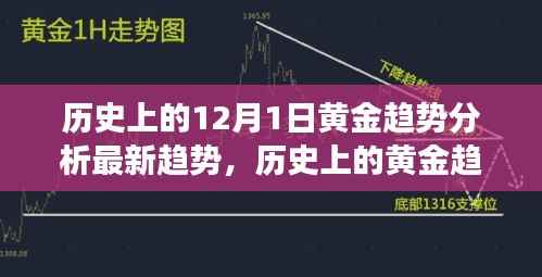 深度解析,历史上的黄金趋势与未来走向——聚焦黄金市场在十二月一日的最新趋势分析