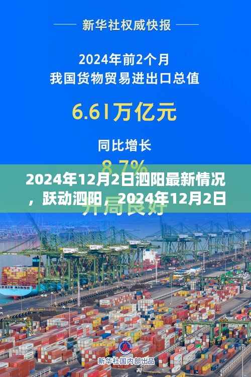 泗阳2024年12月2日最新动态,跃动发展,学习自信,共创未来精彩篇章