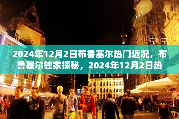 布鲁塞尔独家探秘,揭秘2024年12月2日布鲁塞尔热门近况全解析