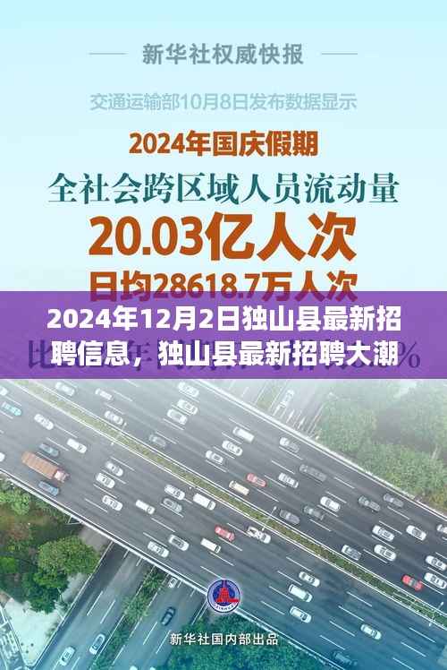 独山县最新招聘信息大潮,2024年人才盛宴开启