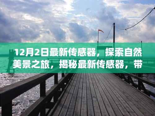 虎视眈眈 第11页