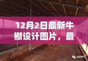 最新牛棚设计图片打造指南,从初学者的起步到完美牛棚设计之旅(附12月最新设计图)