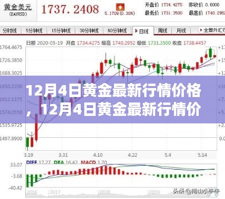 12月4日黄金行情全面解析,最新价格与评测介绍