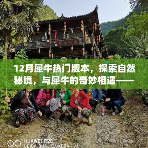 十二月犀牛热门版本,探索自然秘境,奇妙相遇之旅