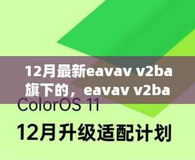 解读与反思,Eavav V2BA新动向揭秘