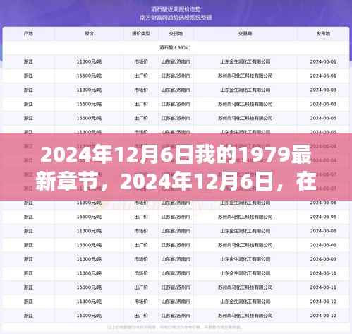 时光之章中的温馨日常,我的1979新篇章揭秘(最新章节)