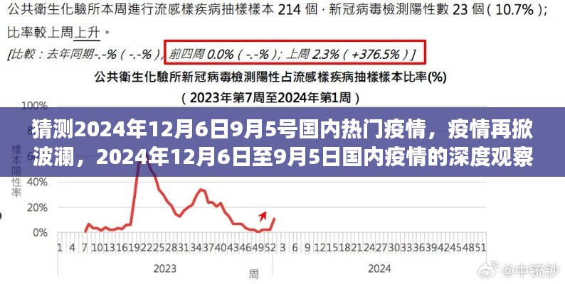 2024年疫情再掀波澜,深度观察与影响国内疫情的演变及影响分析