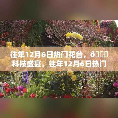往年12月6日热门花台,科技盛宴开启,全新升级体验未来生活之美