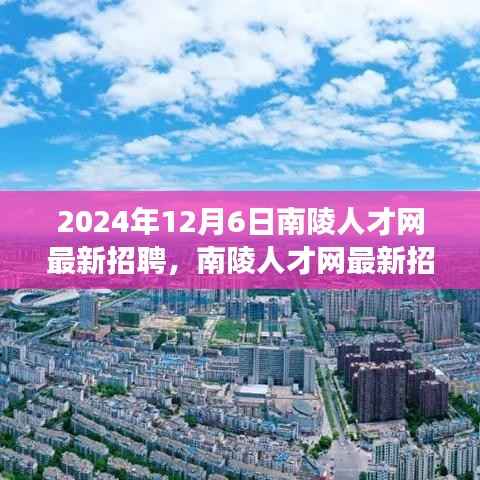 南陵人才网最新招聘动态，聚焦未来职场机遇（2024年12月）