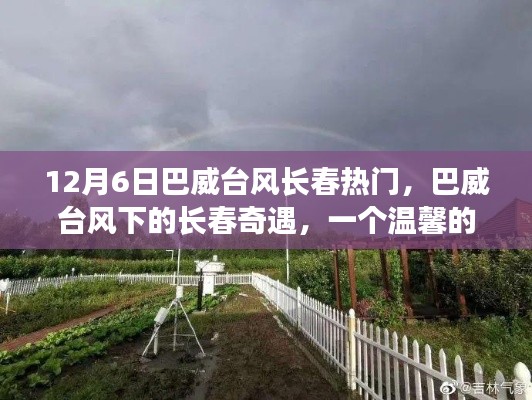 12月6日巴威台风长春热门,巴威台风下的长春奇遇,一个温馨的日常故事