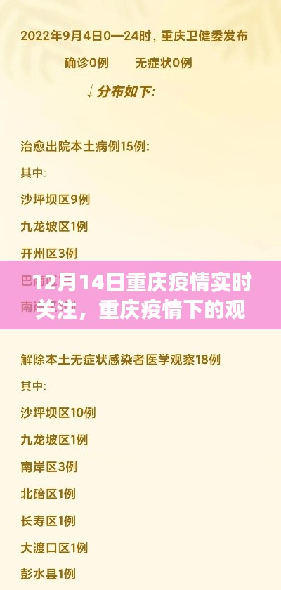重庆疫情下的观察与思考,聚焦实时动态,解读疫情进展