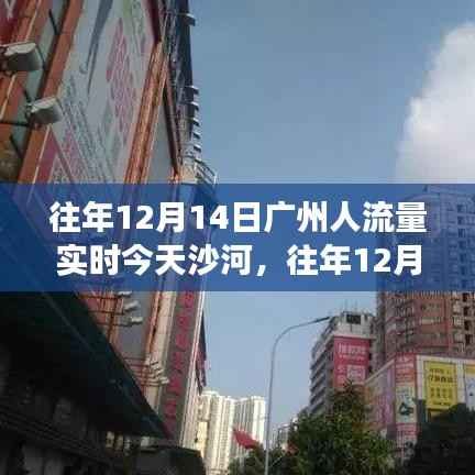 揭秘往年12月14日广州人流量与今日沙河拥挤状况回顾