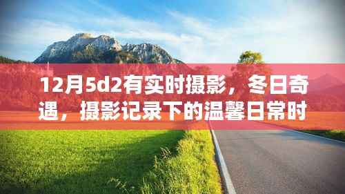 冬日摄影纪实,温馨日常的实时记录与奇遇时刻