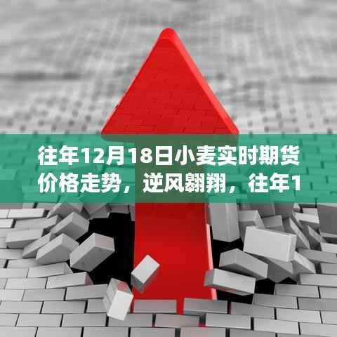 往年12月18日小麦期货价格走势,逆风中的启示与成长之路