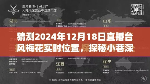 直播台风梅花探秘小巷美食,预测美味邂逅与台风实时位置