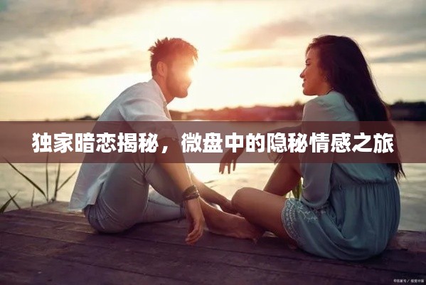 独家暗恋揭秘,微盘中的隐秘情感之旅