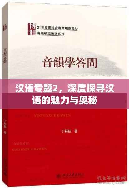 汉语专题2,深度探寻汉语的魅力与奥秘