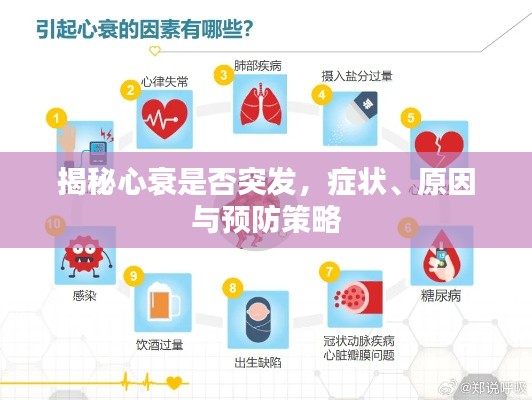 揭秘心衰是否突发,症状、原因与预防策略