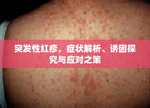 突发性红疹,症状解析、诱因探究与应对之策