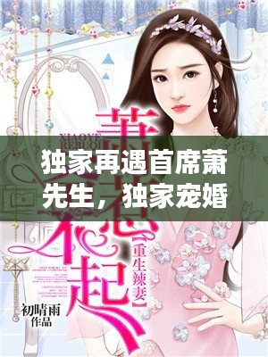 独家再遇首席萧先生,独家宠婚再遇首席乔笙