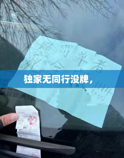 独家无同行没牌,