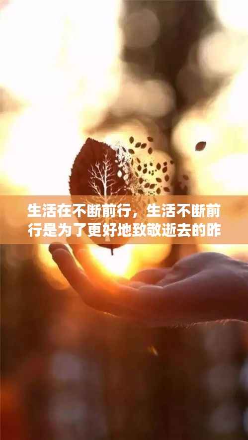生活在不断前行,生活不断前行是为了更好地致敬逝去的昨天