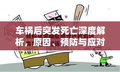 车祸后突发死亡深度解析,原因、预防与应对措施