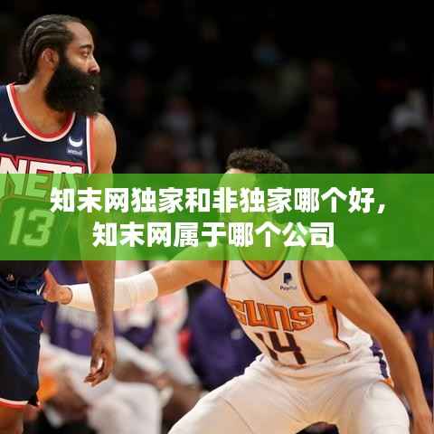 知末网独家和非独家哪个好,知末网属于哪个公司