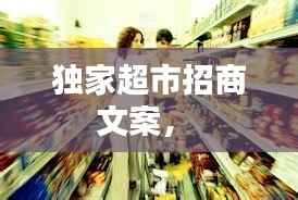 独家超市招商文案,