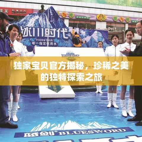 独家宝贝官方揭秘,珍稀之美的独特探索之旅