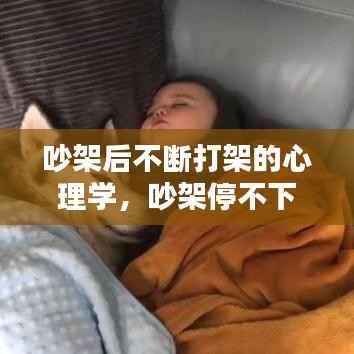 吵架后不断打架的心理学,吵架停不下来怎么办