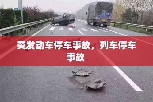 突发动车停车事故,列车停车事故