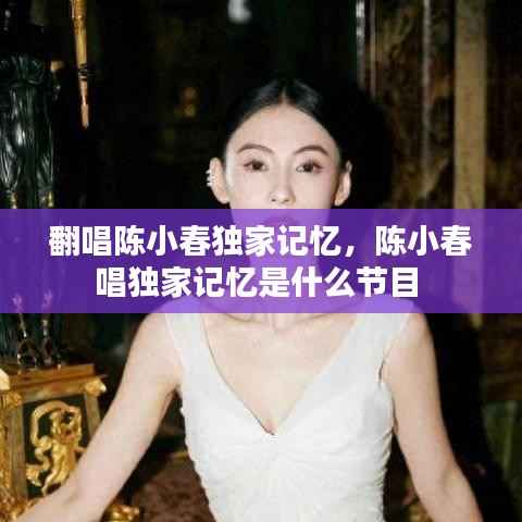 翻唱陈小春独家记忆,陈小春唱独家记忆是什么节目