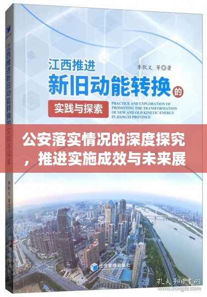 公安落实情况的深度探究,推进实施成效与未来展望