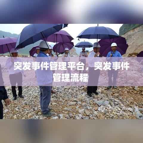 突发事件管理平台,突发事件管理流程