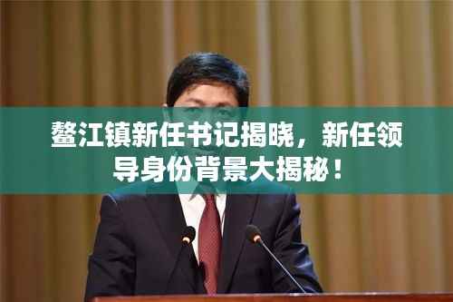 鳌江镇新任书记揭晓,新任领导身份背景大揭秘!
